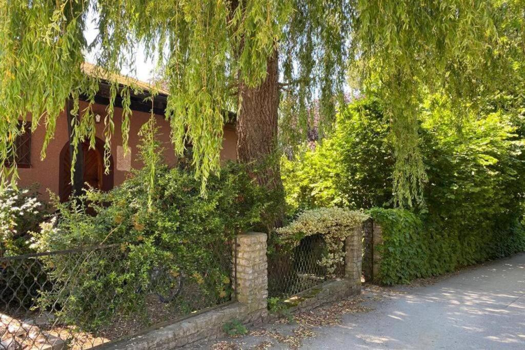 Gartenwohnung 5 Min. Zur Stadt Hagenau Εξωτερικό φωτογραφία